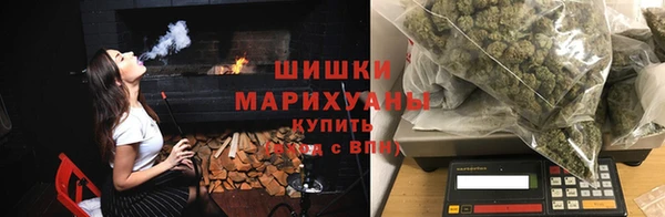 крисы Аркадак