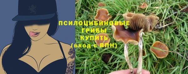 экстази Арсеньев